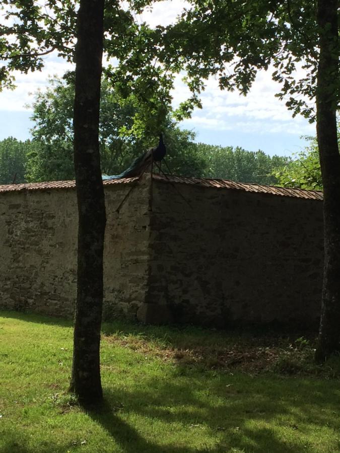 Cabanes Et Chambre A La Bernardiere Sevremoine Exterior foto